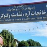 سفر دو روزه مدیرعامل هلدینگ کشاورزی به یاسوج