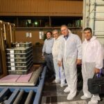 ‎واردات جوجه‌های اجداد تخم‌گذار توسط «مرغک»