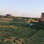 آغاز فرآیند سیلوی قصیل جو در «شریف آباد»