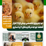 روایت پیشرفت؛ صدای تلاش و امید در صنعت کشاورزی کشور