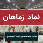 «زماهان» با فروش ۳۷ میلیاردی در بهمن، جایگاه خود در بازار طیور را تثبیت کرد