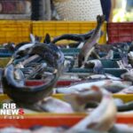 درخشش مزرعه ماهیچال در قاب رسانه ملی
