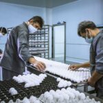ارزآوری صادراتی، پیش‌ران تأمین کالاهای اساسی است